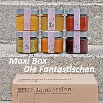 Maxi Box - Die Fantastischen (6x220g)