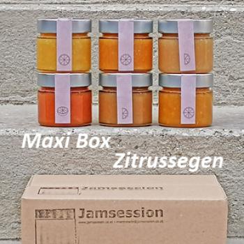 Maxi Box - Zitrussegen (6x220g)